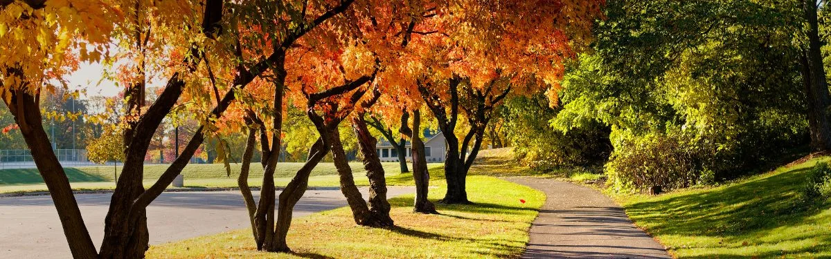 Fall into Fun: The Best Fall Festivals Near Fishersville