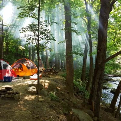 Crabtree Falls Campground near Fishersville VA