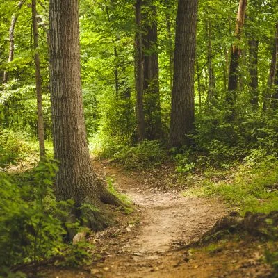 Loft Mountain Campground near Fishersville VA
