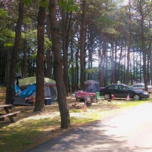 Waynesboro North 340 Campground near Fishersville VA